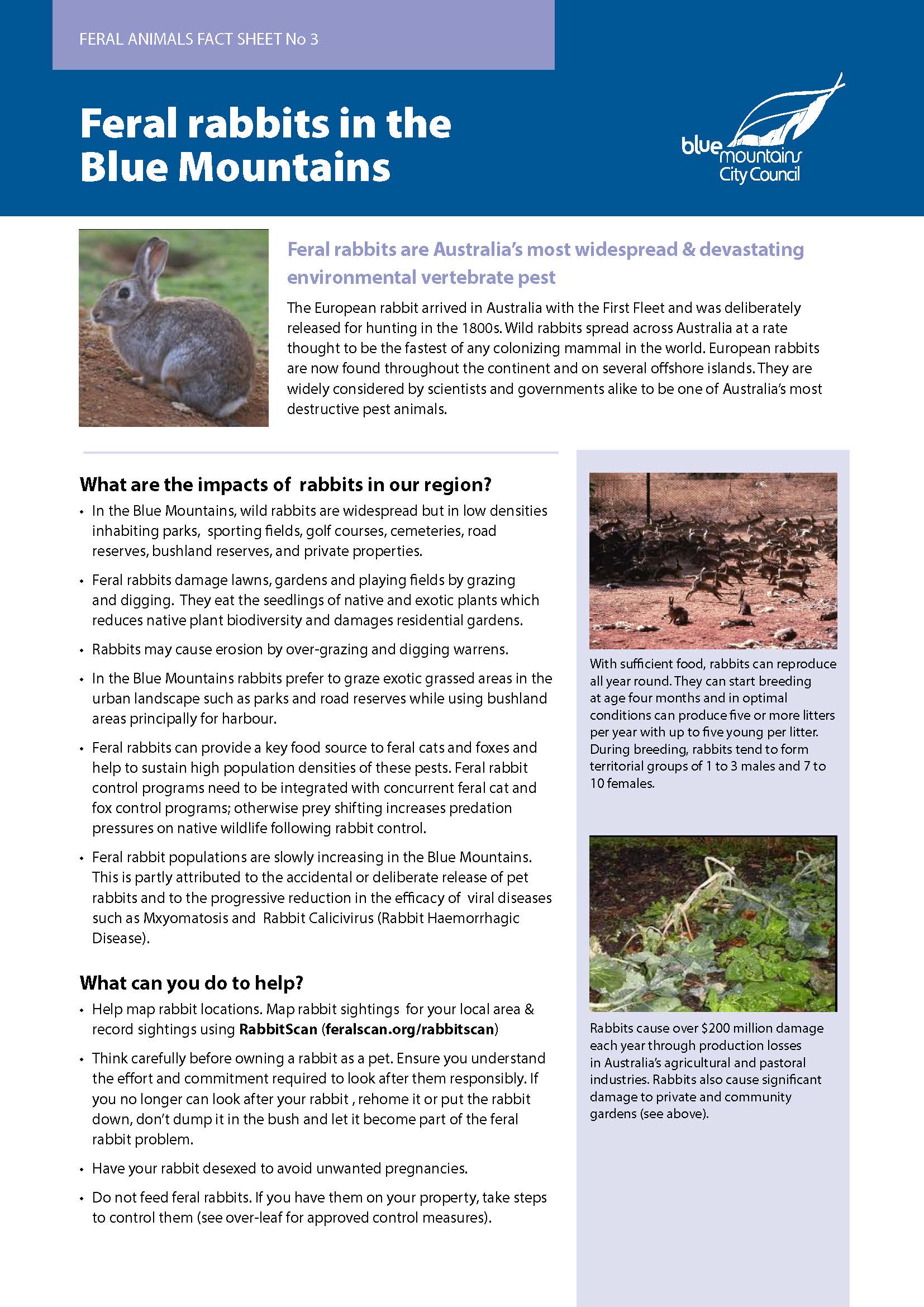 fact-sheet-rabbits-bmcc-nsw-gov-au